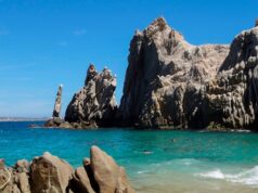 Tourists question why travel agents didn’t warn them before traveling to Mexico