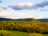 Top 6 Early Summer Travel Destinations in the US