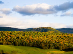 Top 6 Early Summer Travel Destinations in the US