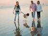 10 US budget travel destinations to consider this summer