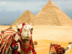 In ‘Travel World Cup’ Poll Egypt is Most Popular Destination