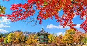 Travel tips for traveling to visa-free South Korea