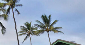 ‘Bucket List’ Family Finally Finds a Place to Call Home After Traveling the World — in Hawaii!