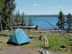 Travel tip: Shop around to save money on your summer vacation