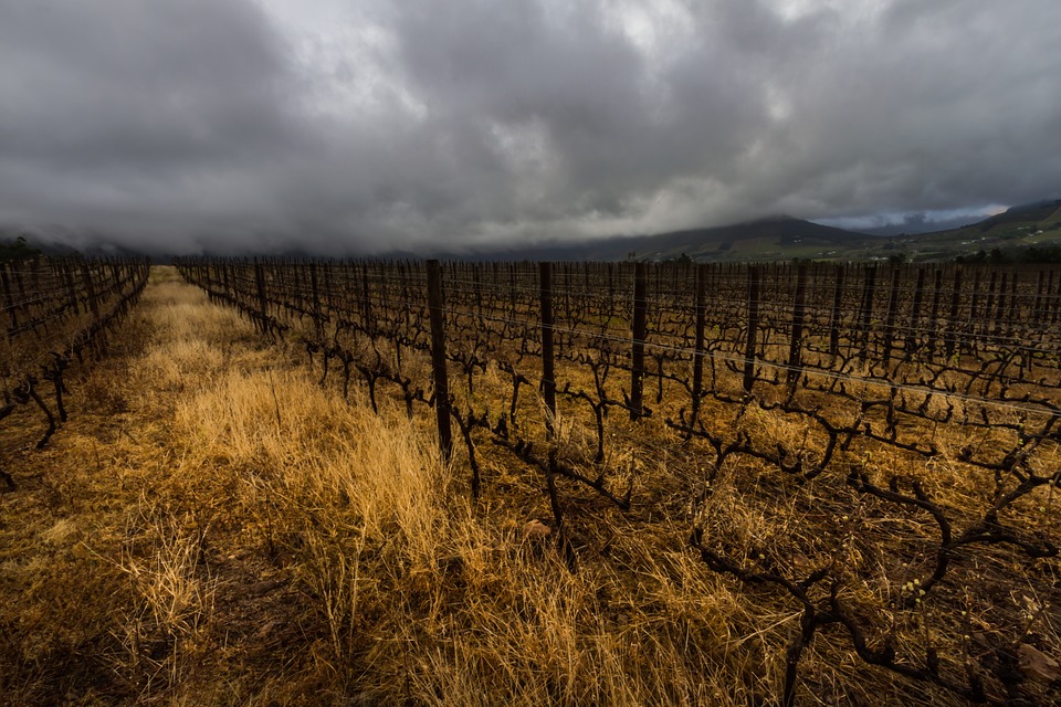 Franschhoek, South Africa