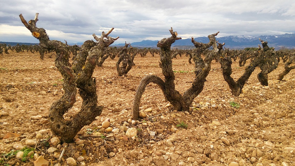 La Rioja, Spain