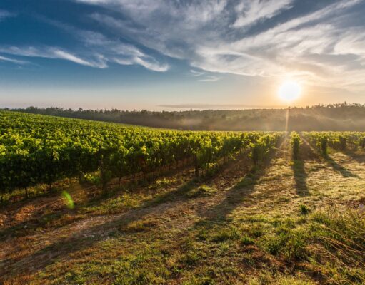 World’s 10 Best Trips for Wine Lovers Wine Lovers