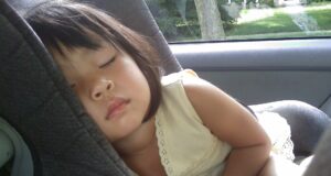 Traveling across Colorado in a Car with Children: How to Do it Safe? Traveling with Children