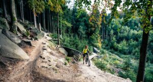 8 Best Mountain Bike Trails in Phoenix, Arizona Mountain biker riding cycling in autumn forest
