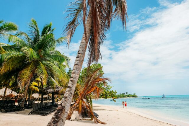 Caribbean beach with palm trees Caribbean beach with palm trees