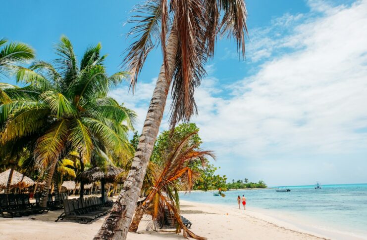 Caribbean beach with palm trees